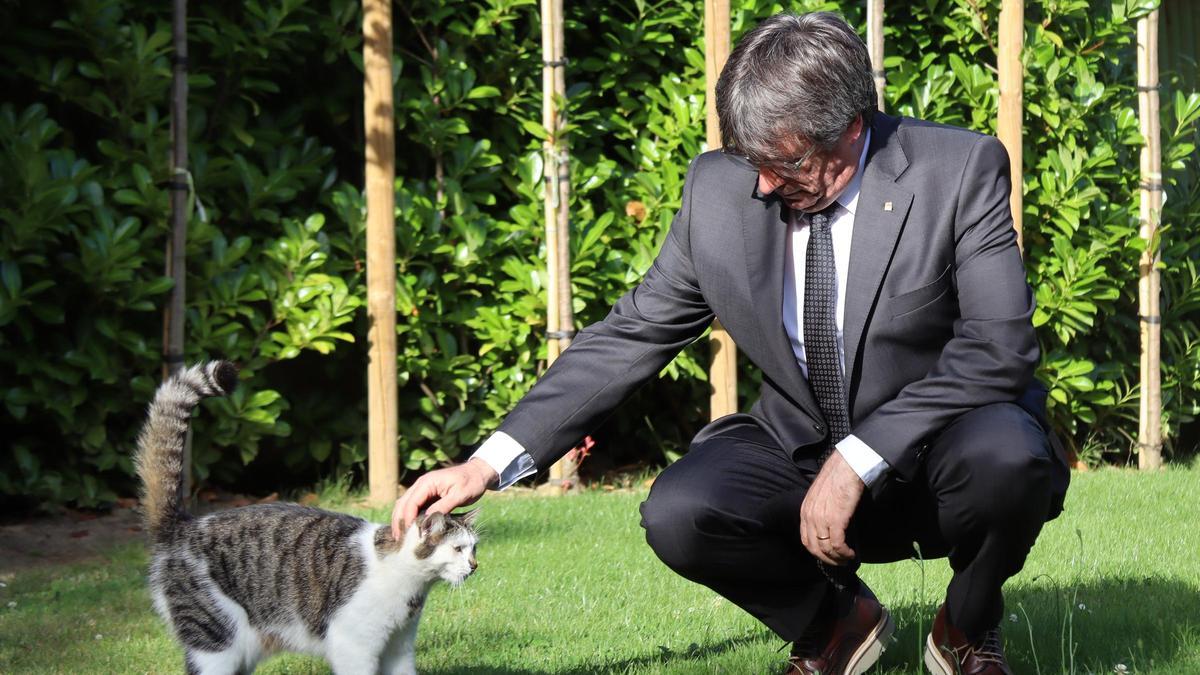 Carles Puigdemont, este sábado desde la Casa de la República, en Waterloo