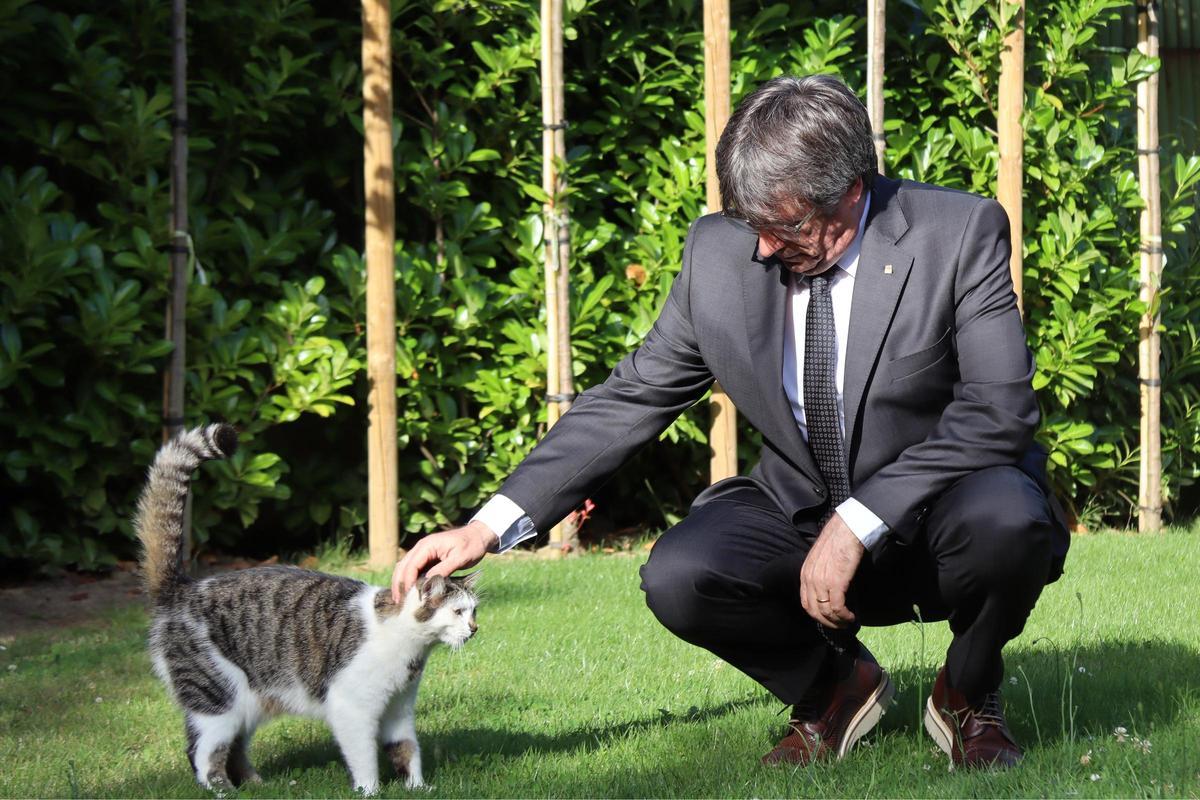 Carles Puigdemont, este sábado desde la Casa de la República, en Waterloo