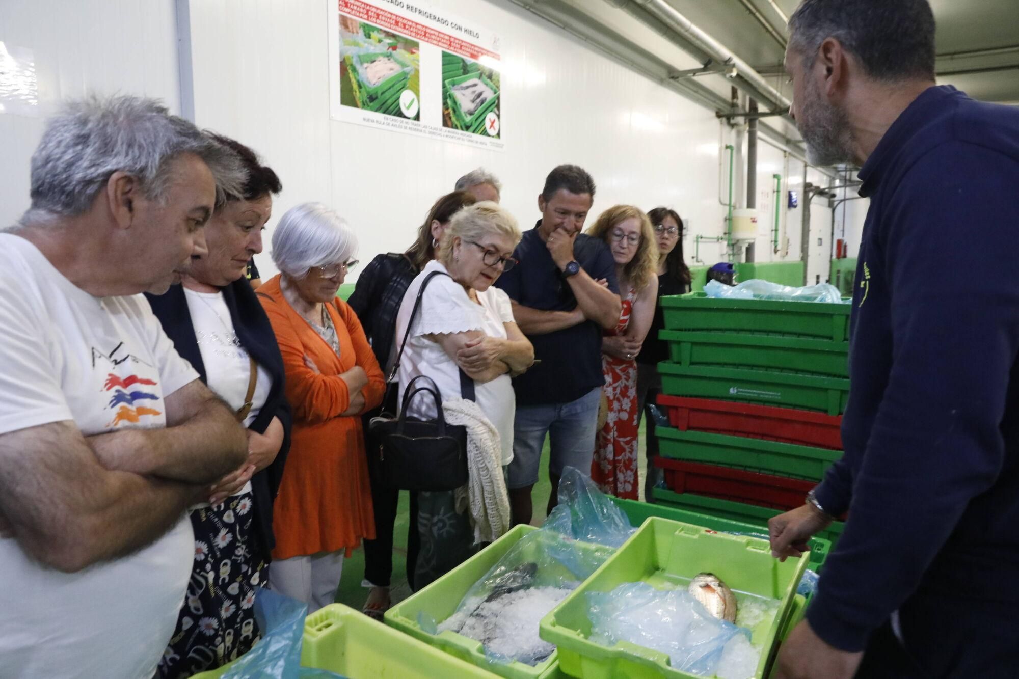 En imágenes: así fue la primera visita guiada a la rula de Avilés de la campaña veraniega