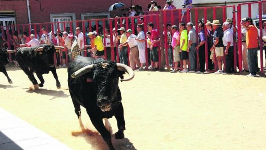 Un prólogo perfecto para las fiestas patronales