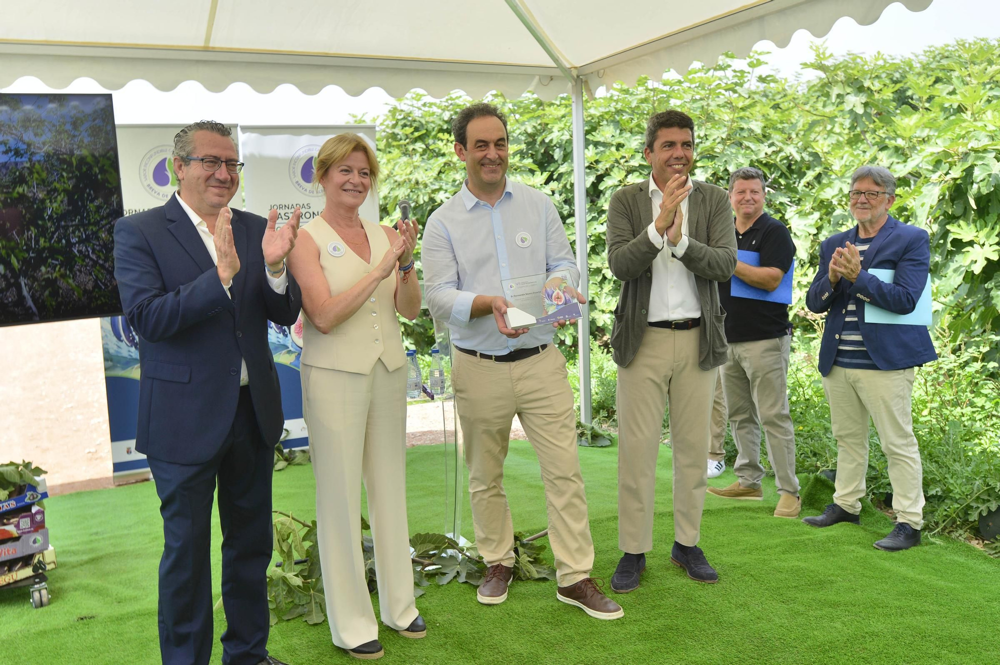 Acto simbólico del arranque de la campaña de breva colar de Albatera