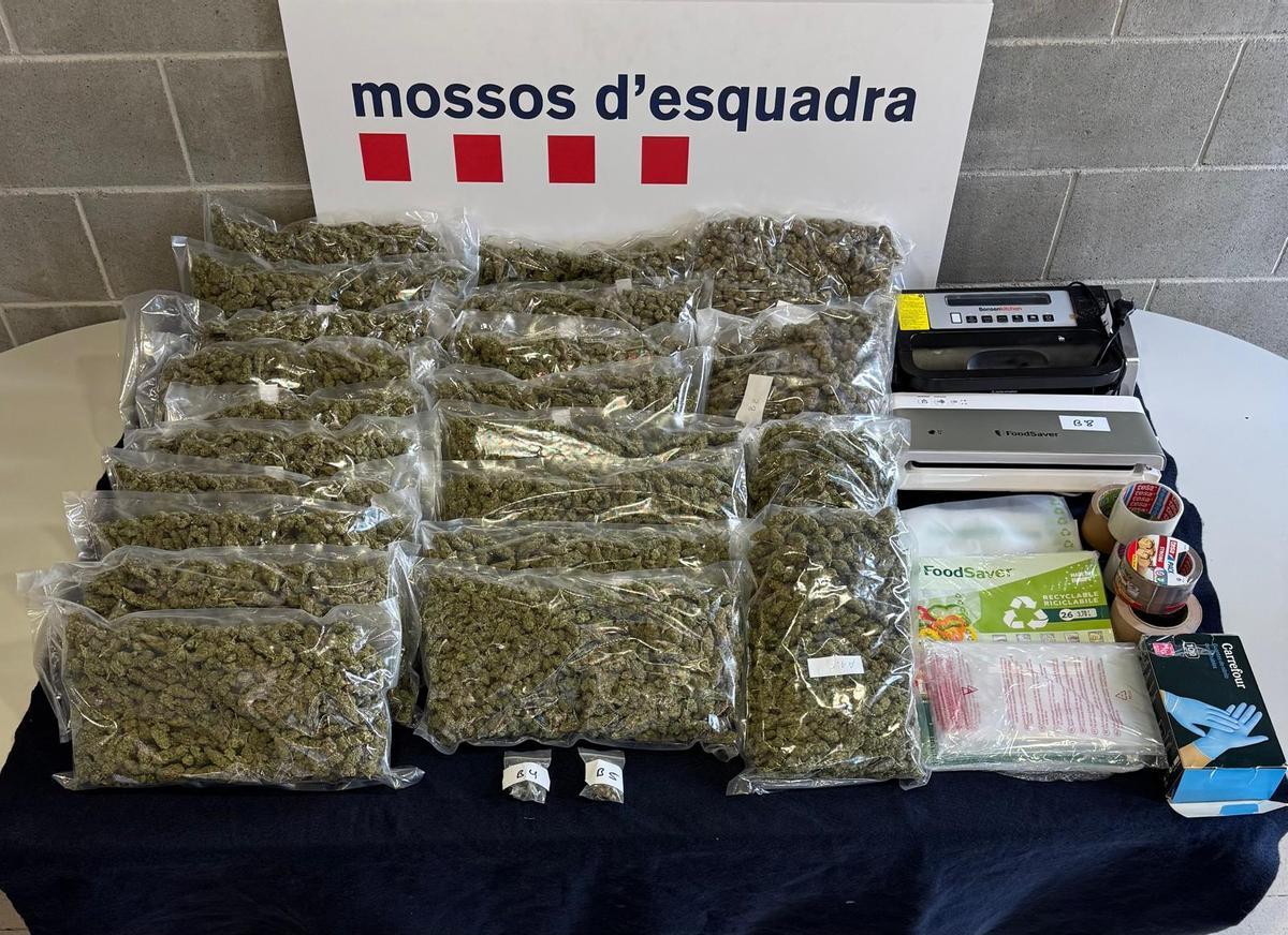 Bosses de marihuana i material que els Mossos van trobar en poder del detingut a Martorell