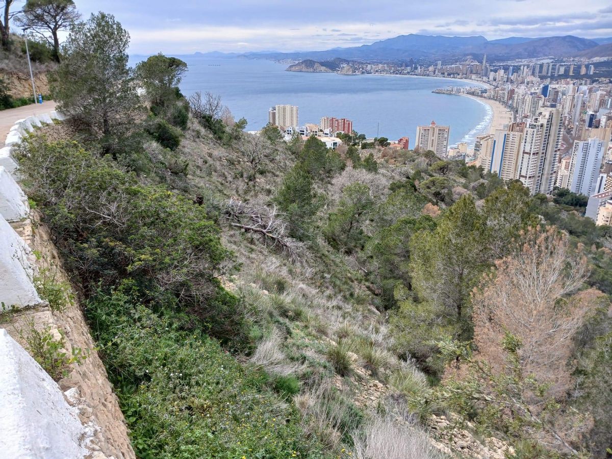 El parque cuenta con varias rutas senderistas