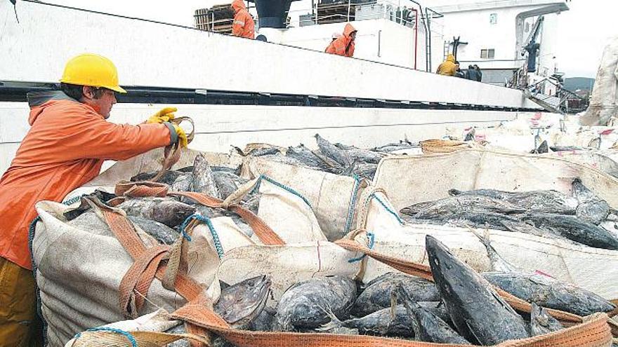 Gago reconoce que &quot;es difícil&quot; que el tráfico de pescado congelado vuelva a la rada vilagarciana