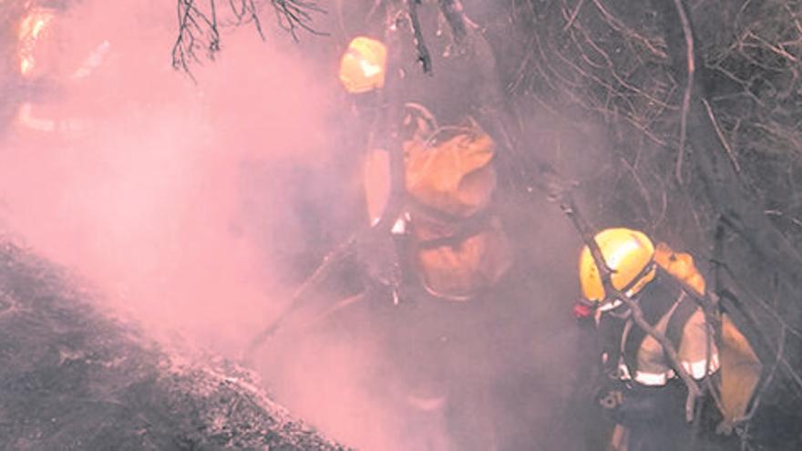 Un incendi crema en un marge de Garriguella