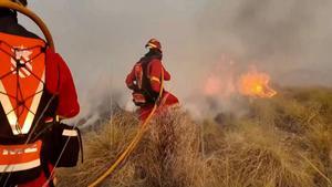 La UME despliega 200 militares con 70 vehículos en el incendio de Los Gallardos