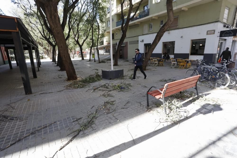 Incidencias en la Comunitat Valenciana por el fuerte viento