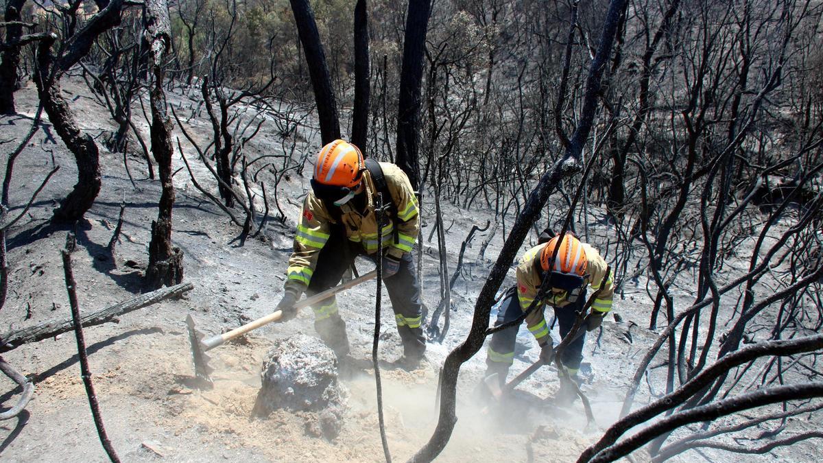 Dos Bombers amb eines manuals rematant punts calents que hi ha al flanc dret de l'incendi de les Gavarres.