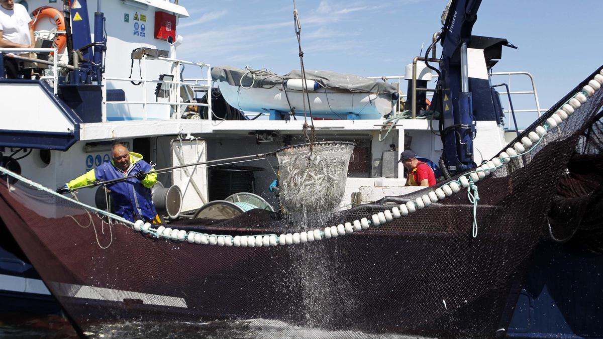 Un barco de cerco pescando sardina en la ría de Arousa.