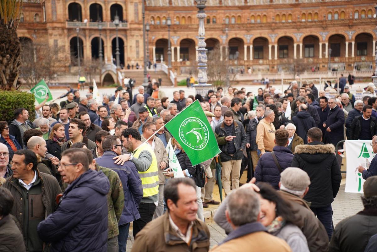 Protestas en la Plaza de España. Protestas en la Plaza de España.