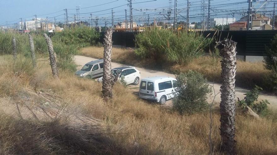 Varios coches aparcados junto a unas palmeras muertas en la parte trasera de la Fe.