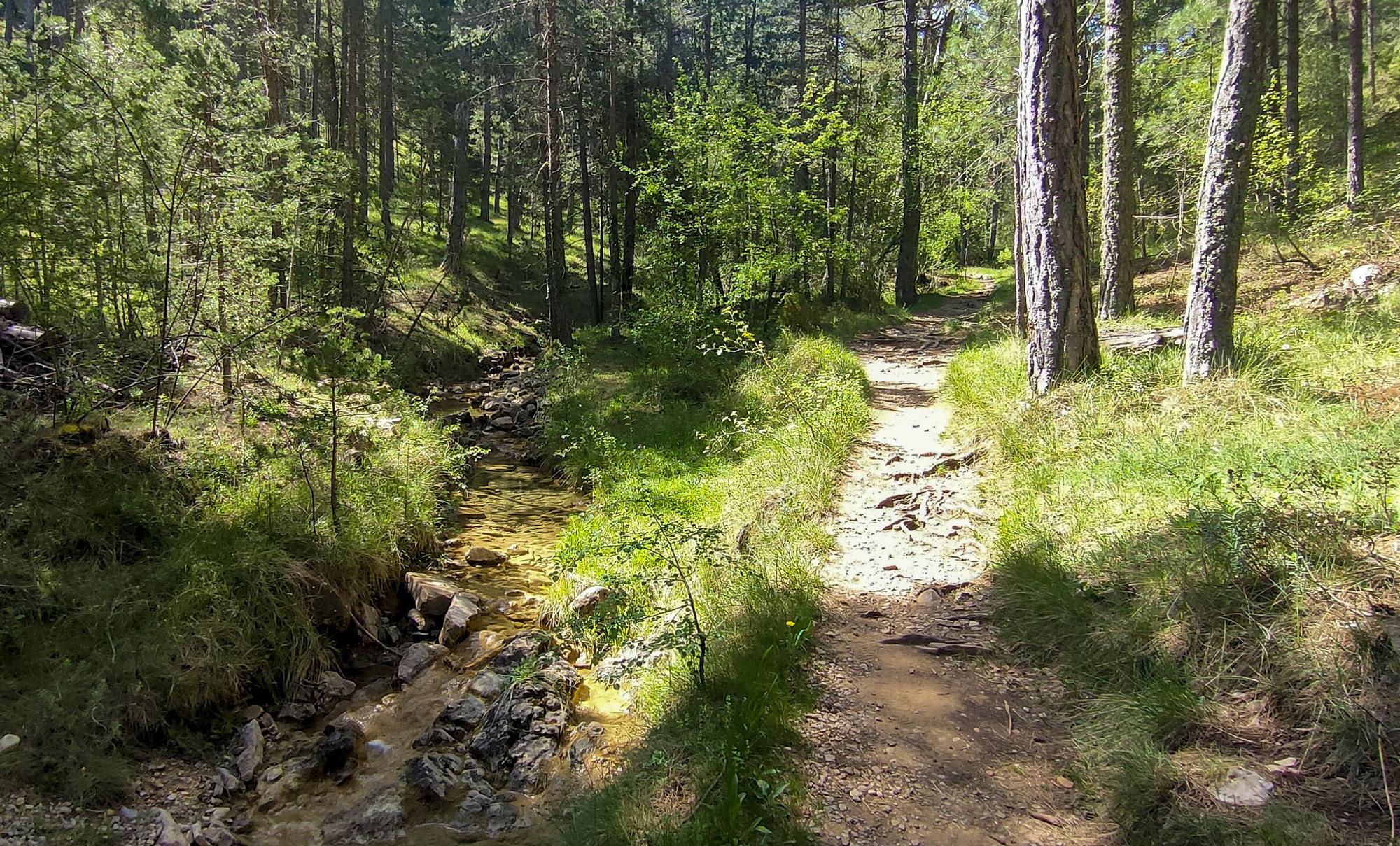 Subida al Penyagolosa: inmenso y colosal