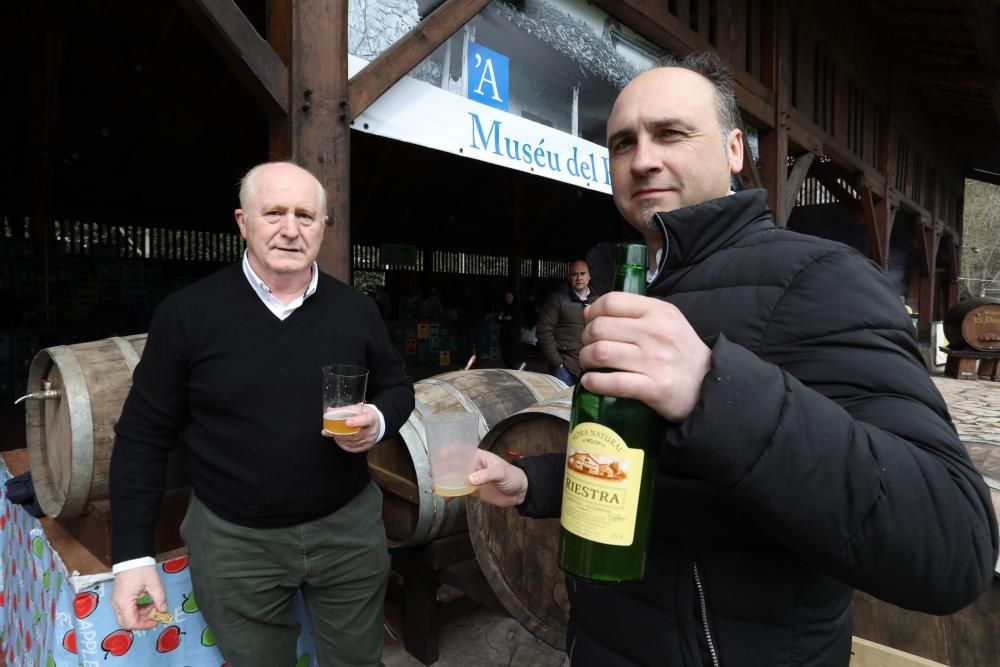 Primera sidra del año