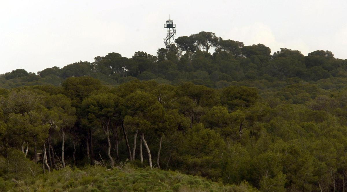 Paraje protegido de la Vallesa, dentro del termino municipal de Paterna.