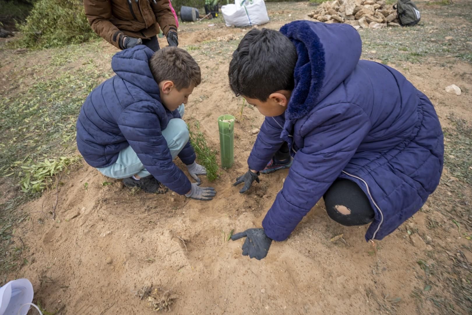 Jornada escolar plantación de especies autóctonas junto al parque natural de las lagunas de Torrevieja y La Mata