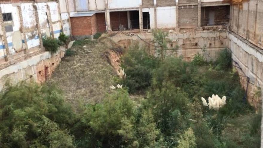 «La pequeña jungla» de un  patio interior en la calle Albacete