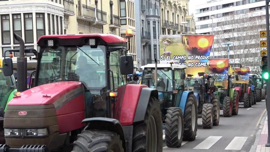 Tractorada en Zamora: manifestación de más de 200 tractores y 2.000 agricultores