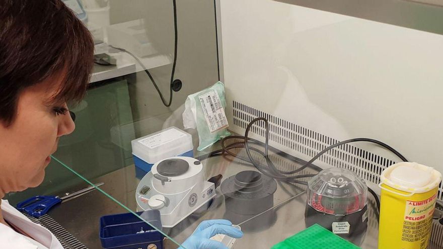 Actividad en un servicio de Anatomía Patología en un hospital. | // M.B.