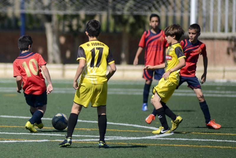 FÚTBOL: La Muela B - Segia (2ª Alevín)