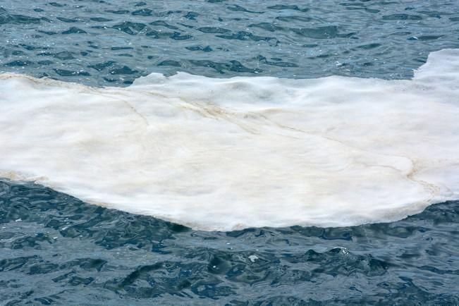 MANCHA BLANCA EN LA GARITA