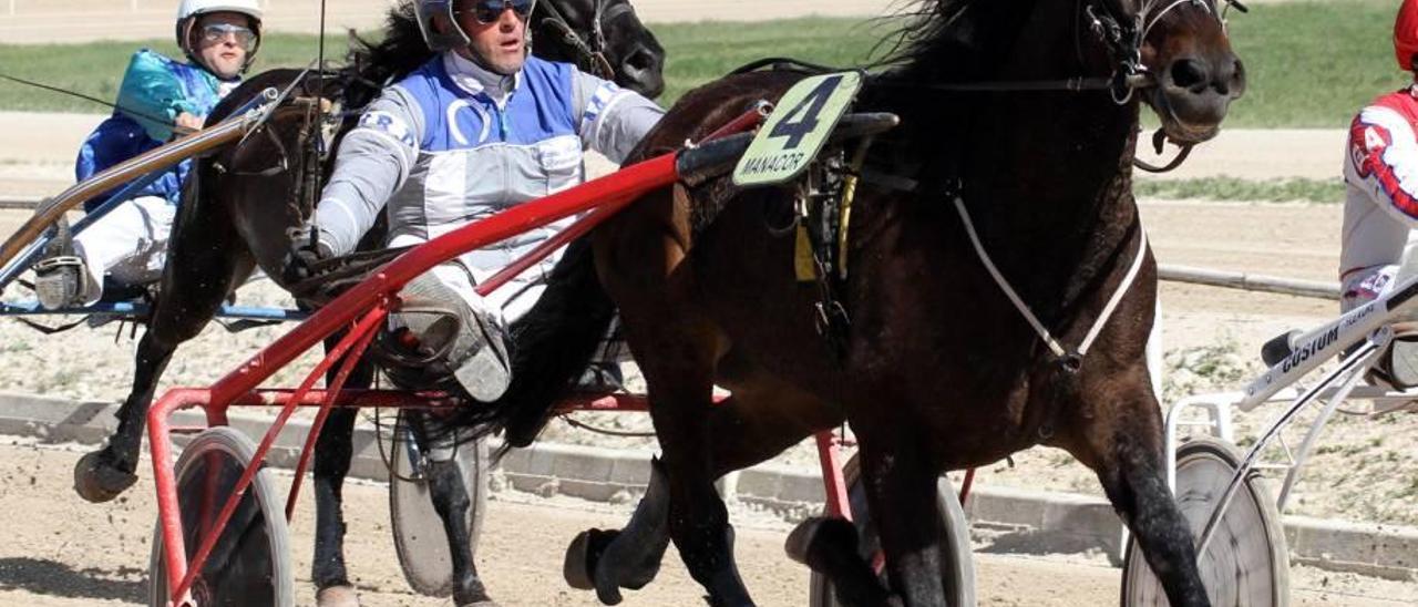 Sorky d&#039;as Pont, con Mateu Riera, en una de sus carreras en el Hipòdrom de Manacor.