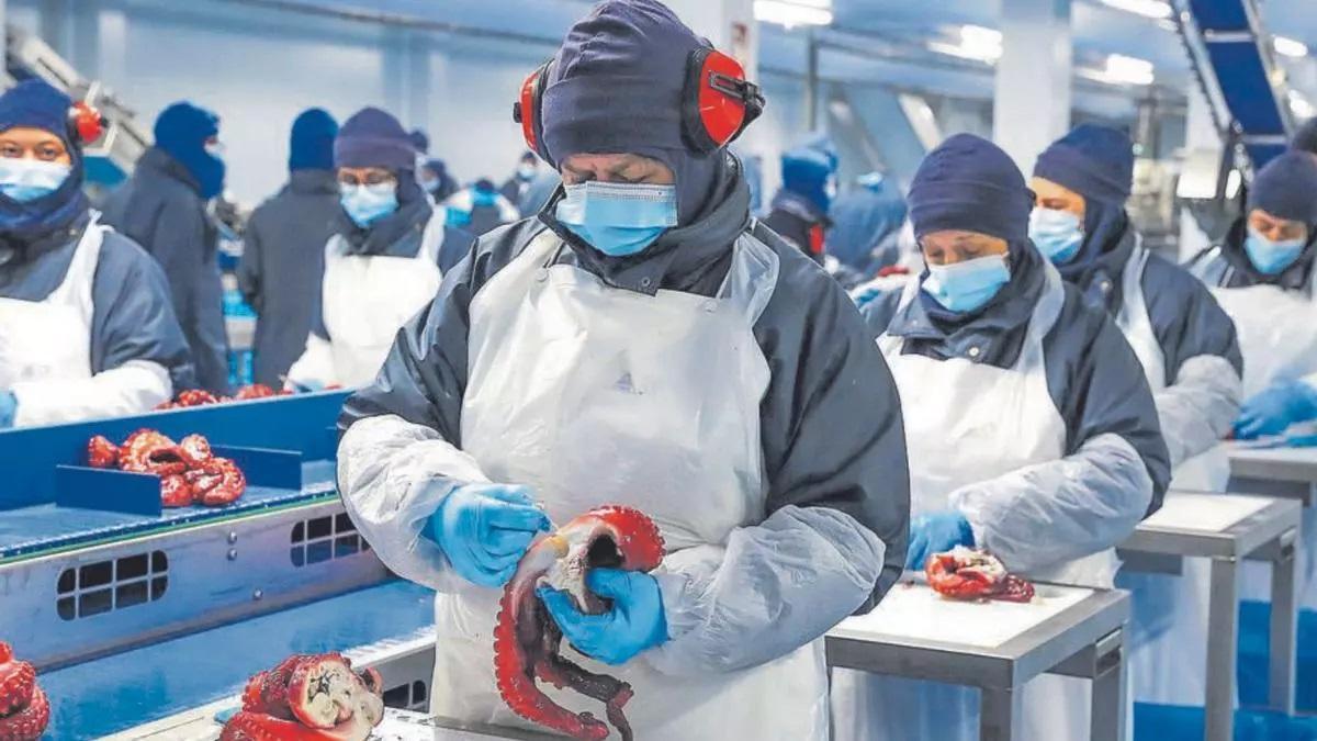 Una línea de producción de Profand.