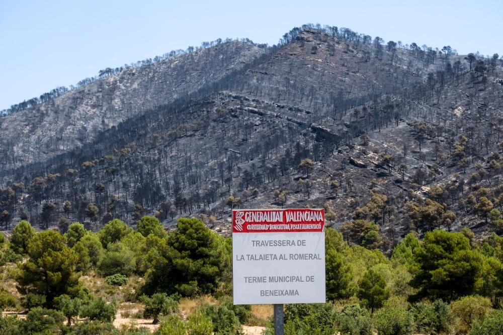 Así ha quedado la zona tras el incendio.