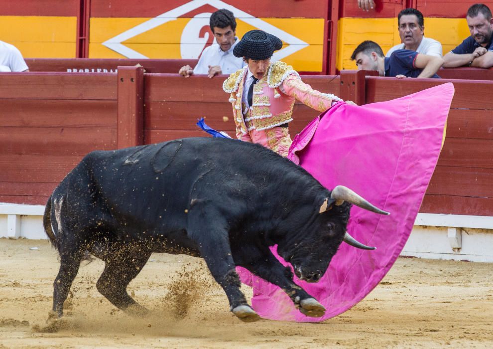 El novillero alicantino Jorge Rico triunfa en casa