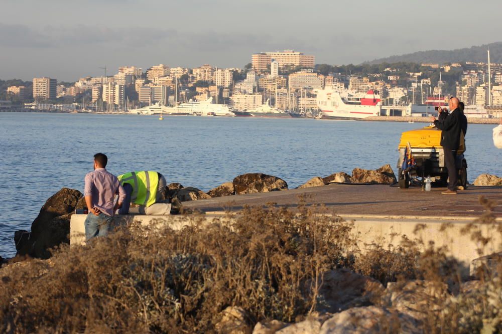 Empiezan los trabajos para reflotar el velero encallado en Can Pere Antoni