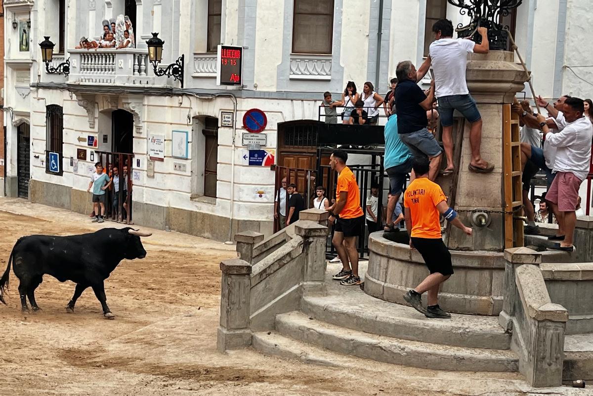Galería: Así ha sido la fiesta de la Asunción en Llucena Galería: Así ha sido la fiesta de la Asunción en Llucena