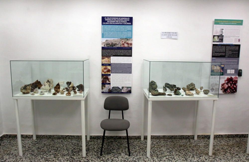 Más de 1.500 ejemplares entre gemas, minerales, óxidos y fósiles pueden apreciarse dentro del museo de la calle Bailén