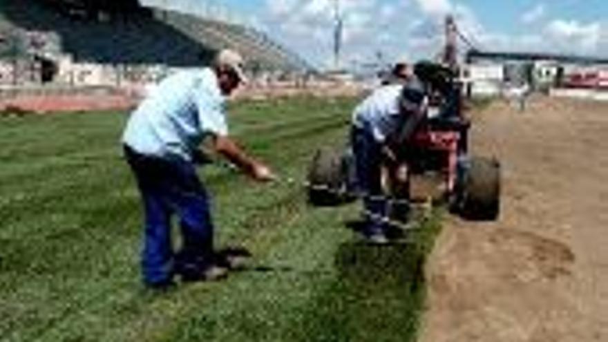 Colocan el nuevo césped del estadio