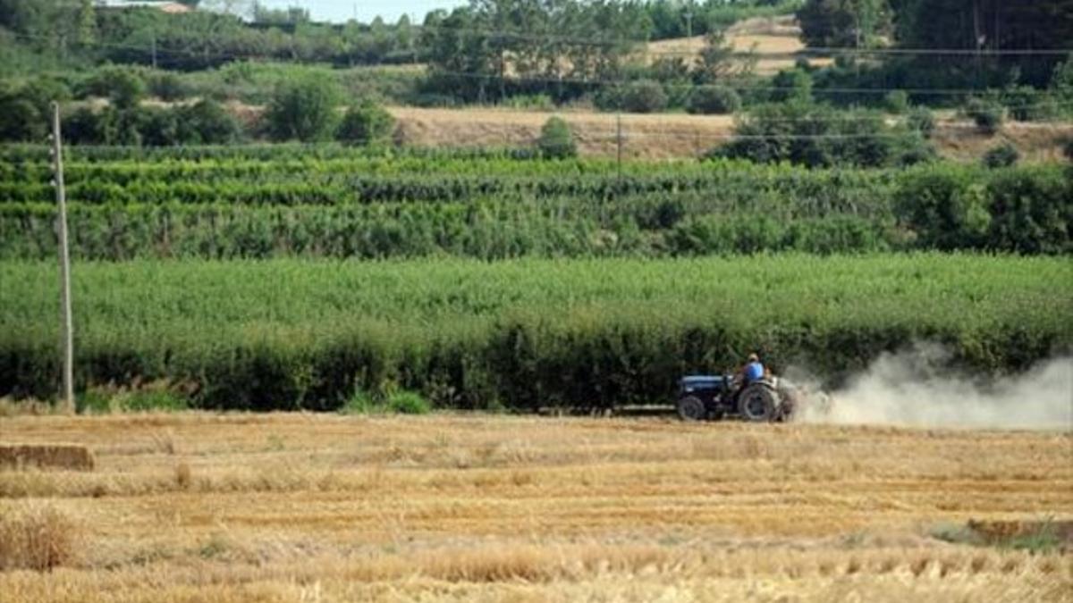 Campo 8 Un agricultor trabaja en unos terrenos de Lleida.