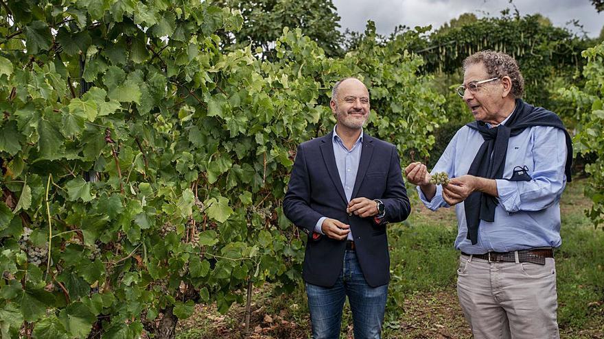 David Regades y Roberto Verino visitando las viñas de la bodega Gargalo. |   //BRAIS LORENZO