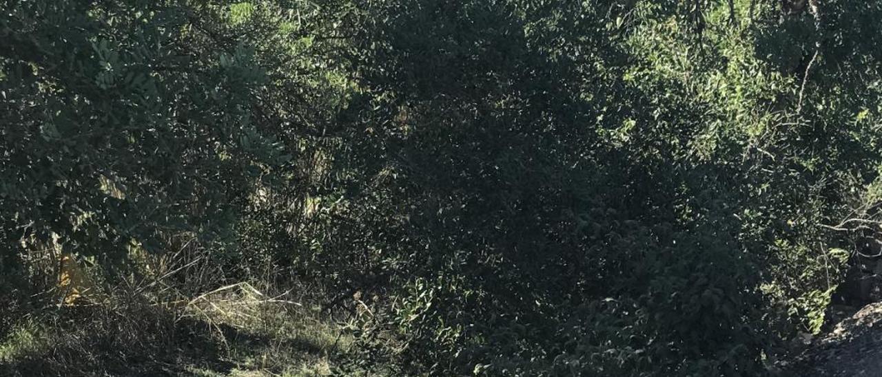 El coche en el barranco tras salirse de la vía.