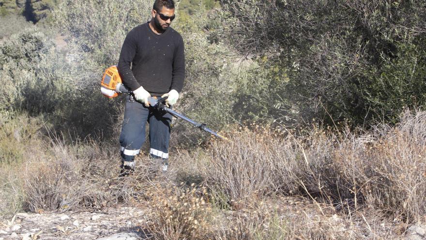 La iniciativa de la Vall d&#039;Albaida para recuperar tierras sin uso que sirve de modelo en España