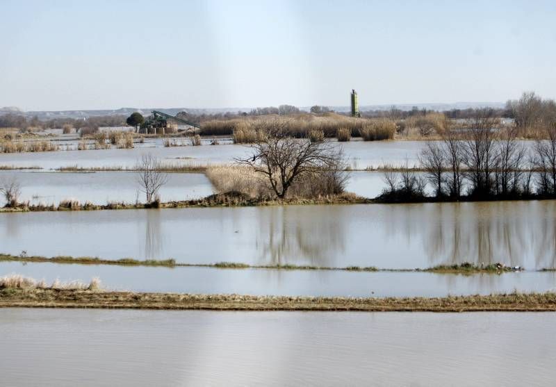 Fotogalería de la visita de Rajoy a la ribera del Ebro