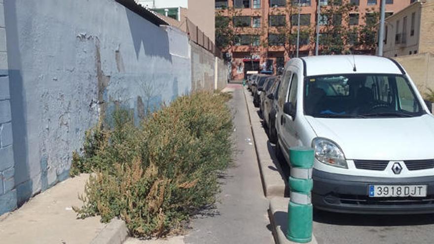 Un carril bici invadido por las malas hierbas