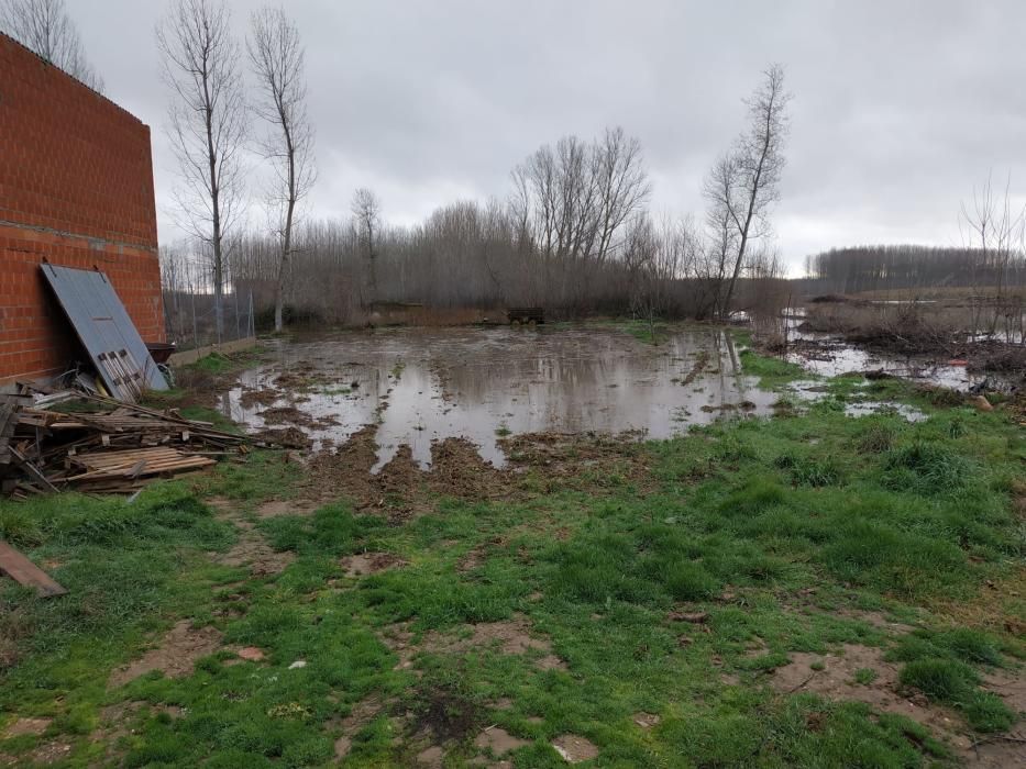 Benavente | El río Órbigo rodea ya Vecilla de la P