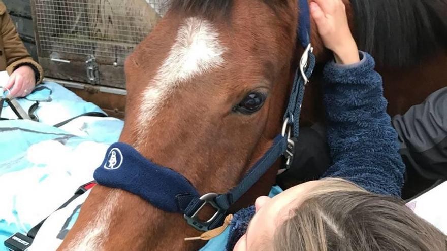 Una usuaria pidió despedirse de su caballo.