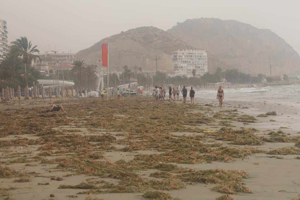 Así está la playa del Postiguet después del temporal