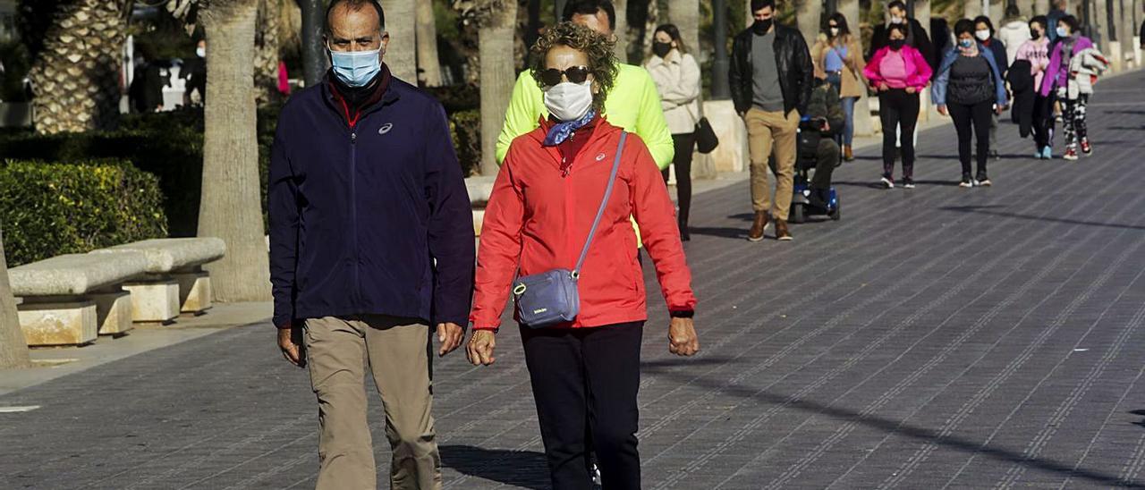 Vecinos de València pasean con mascarilla en el paseo de la Malva-rosa. | LEVANTE-EMV