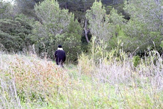 In Es Carnatge, dem letzten unverbauten Küstenabschnitt Palmas, aasten einst die Geier. Nun soll hier ein Park entstehen.