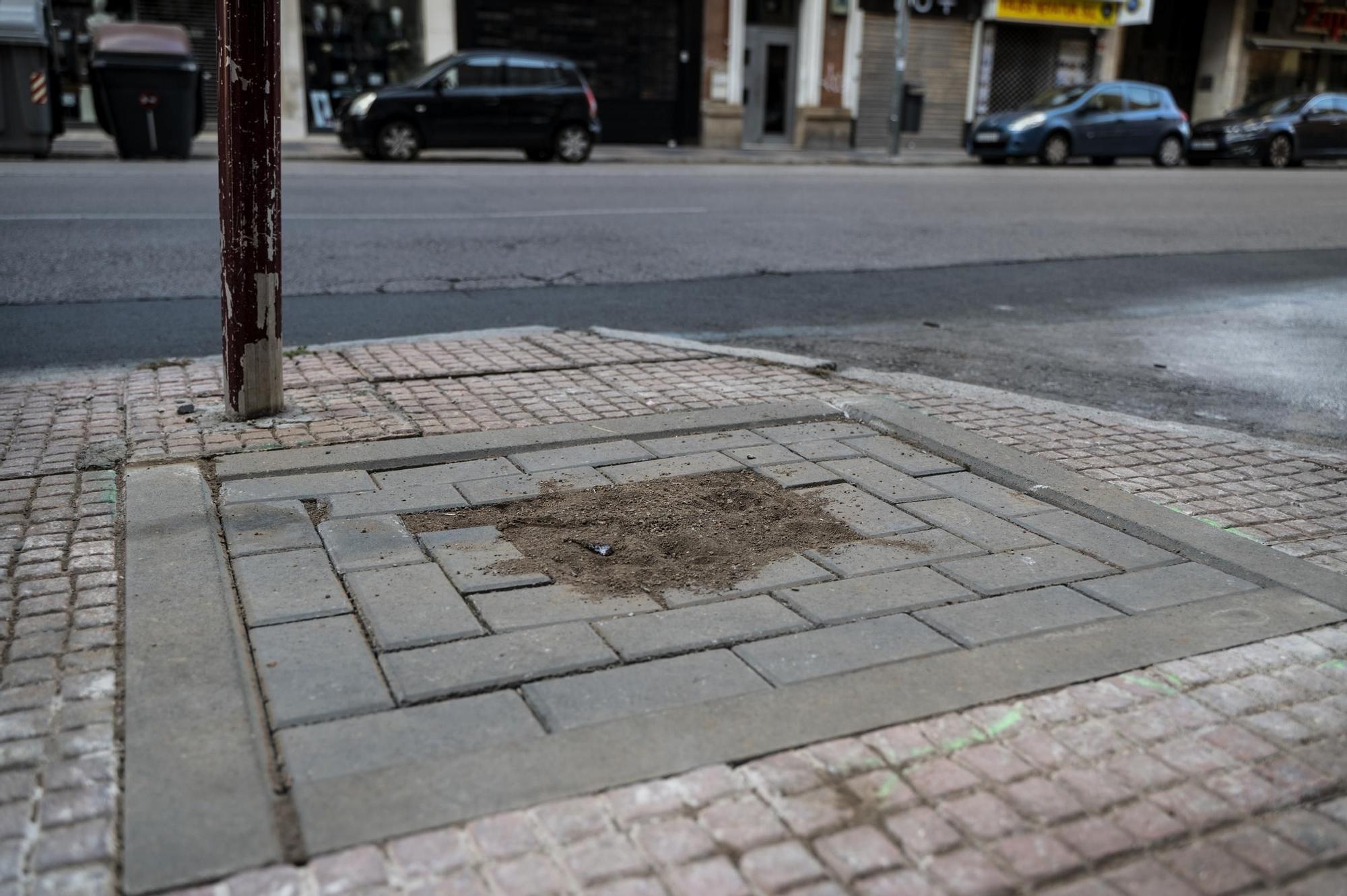Obras para la plantación de árboles en Antonio Hurtado