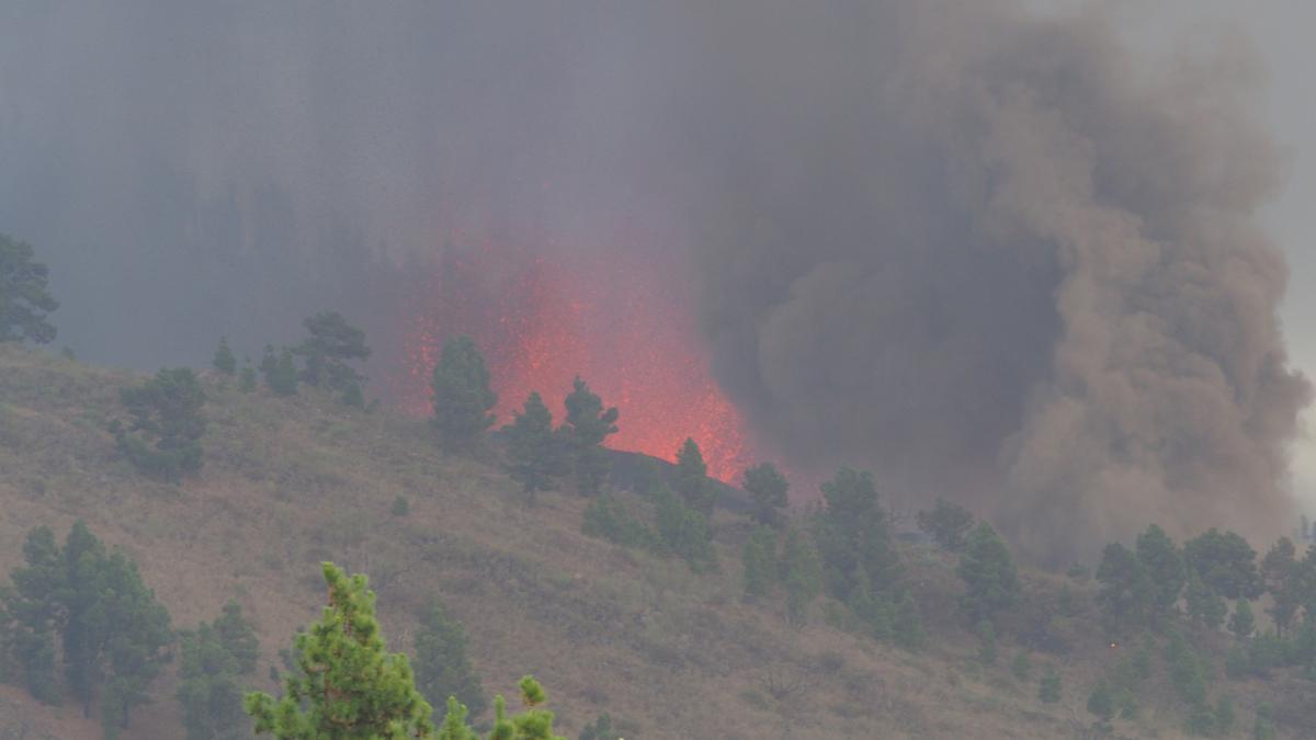 La lava comienza a brotar de la tierra en La Palma.