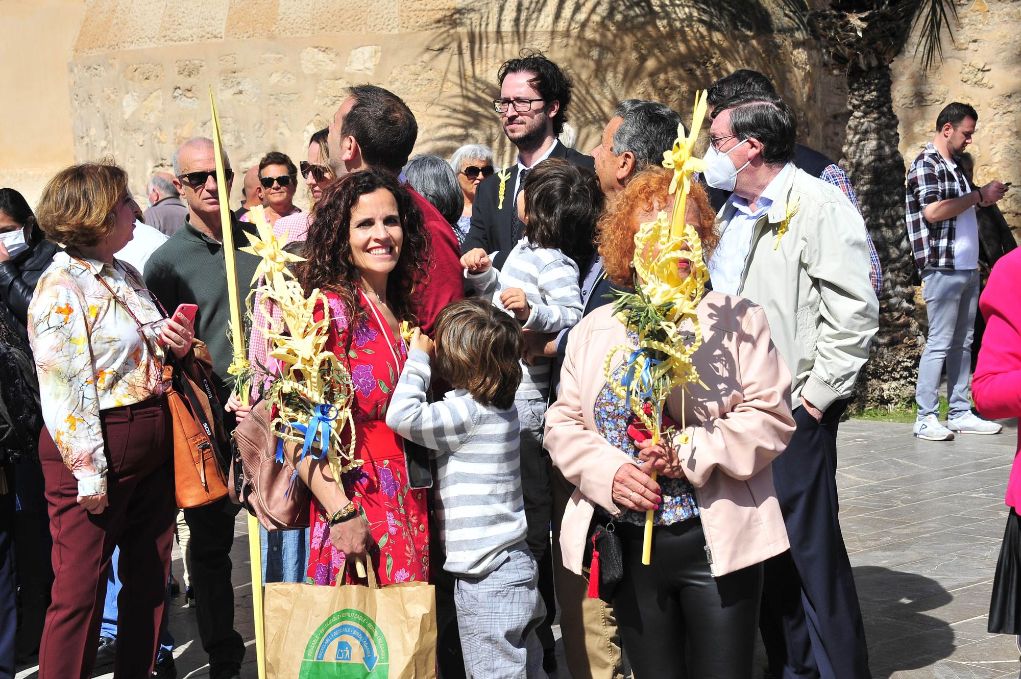 Domingo de Ramos en Elche