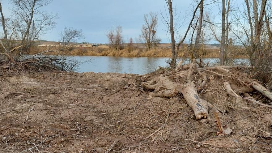 Ecologistas Zamora denuncian las obras a la orilla del Duero en Villaralbo