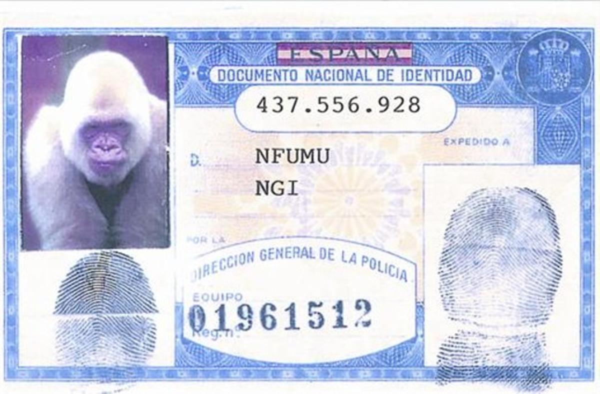 DNI de Floquet, una prova que va passar el Rubicó de la domesticitat. DNI de Floquet, una prova que va passar el Rubicó de la domesticitat.