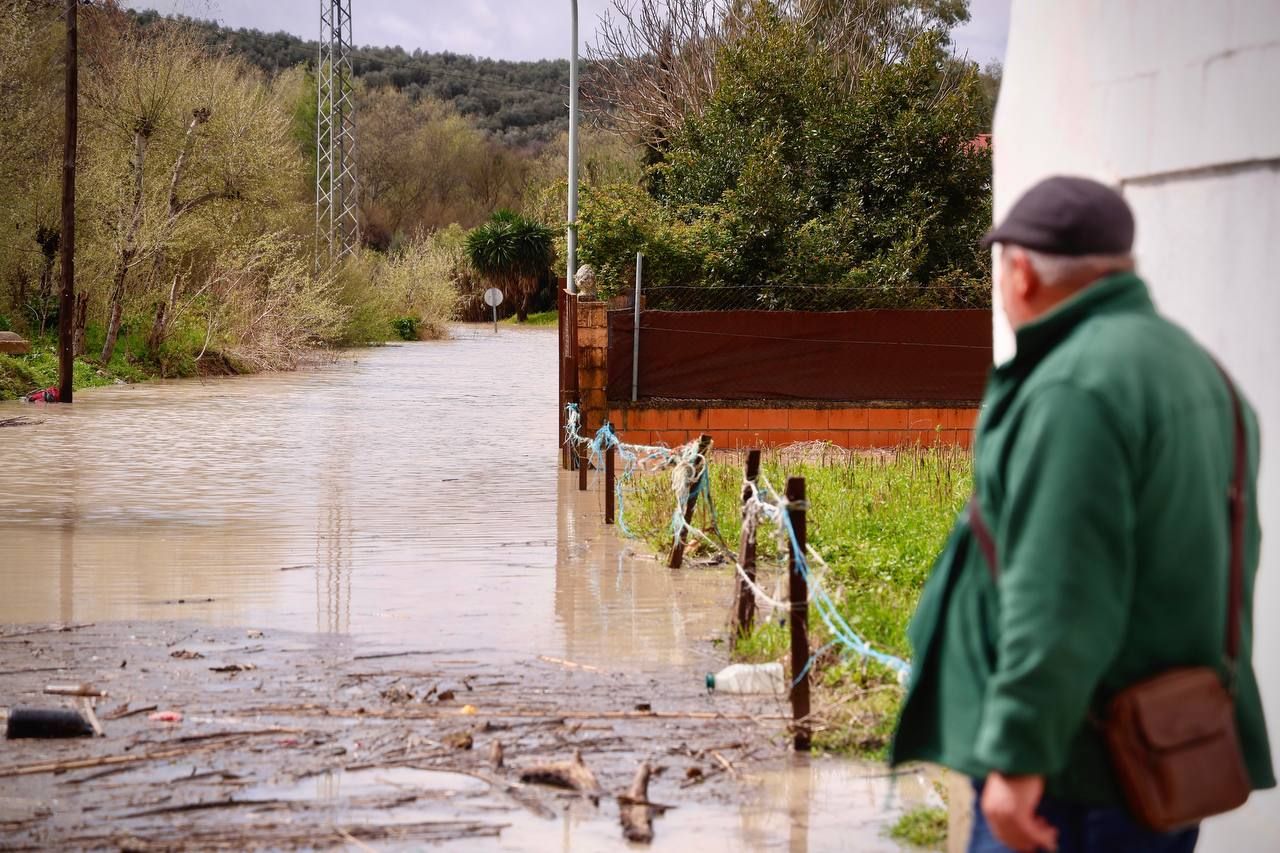 La crecida en Alcolea del Guadalquivir