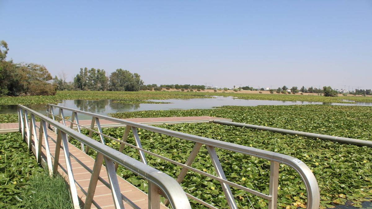 Río Guadiana, a su paso por el Club de Piragüismo de Badajoz.